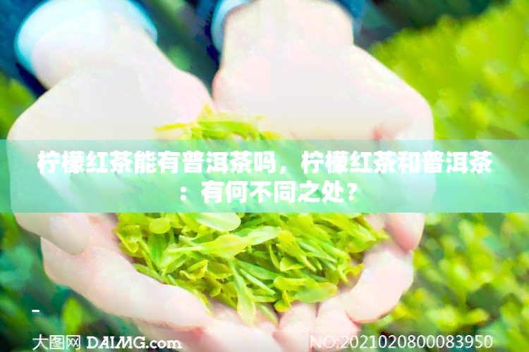 柠檬红茶能有普洱茶吗，柠檬红茶和普洱茶：有何不同之处？