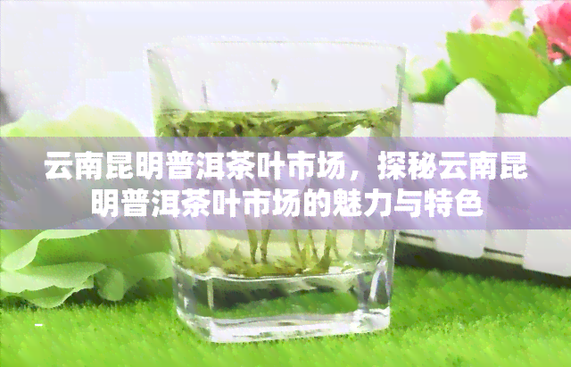 云南昆明普洱茶叶市场，探秘云南昆明普洱茶叶市场的魅力与特色