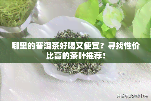 哪里的普洱茶好喝又便宜？寻找性价比高的茶叶推荐！