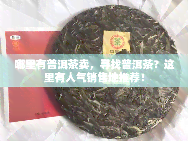 哪里有普洱茶卖，寻找普洱茶？这里有人气销售地推荐！