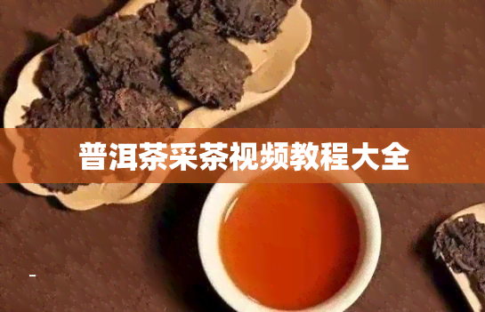 普洱茶采茶视频教程大全