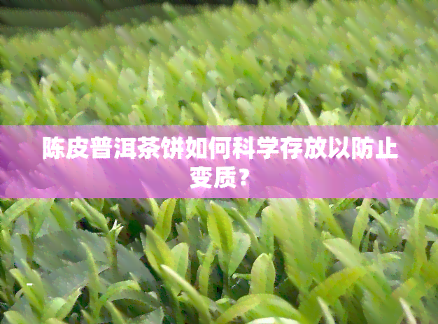 陈皮普洱茶饼如何科学存放以防止变质？