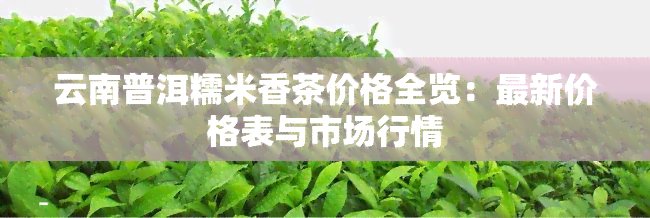 云南普洱糯米香茶价格全览：最新价格表与市场行情