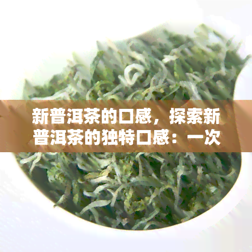 新普洱茶的口感，探索新普洱茶的独特口感：一次味蕾的旅程