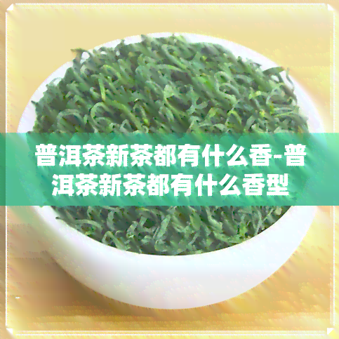 普洱茶新茶都有什么香-普洱茶新茶都有什么香型