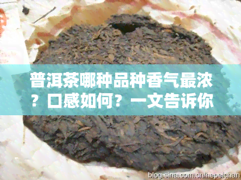 普洱茶哪种品种香气最浓？口感如何？一文告诉你