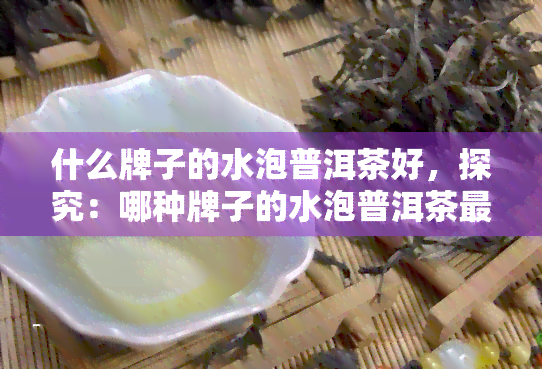 什么牌子的水泡普洱茶好，探究：哪种牌子的水泡普洱茶最出色？