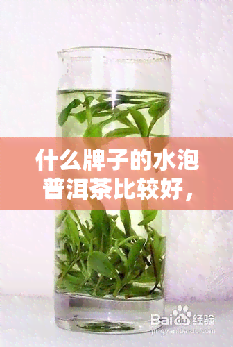 什么牌子的水泡普洱茶比较好，推荐几款好品质的泡普洱茶