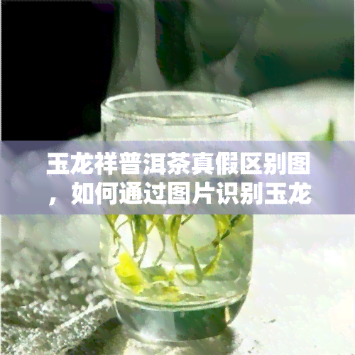 玉龙祥普洱茶真假区别图，如何通过图片识别玉龙祥普洱茶的真伪？