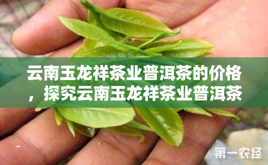 云南玉龙祥茶业普洱茶的价格，探究云南玉龙祥茶业普洱茶的市场价格