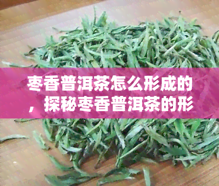 枣香普洱茶怎么形成的，探秘枣香普洱茶的形成原因