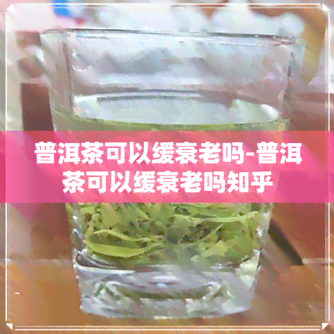 普洱茶可以缓衰老吗-普洱茶可以缓衰老吗知乎