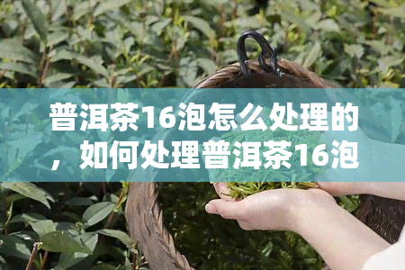 普洱茶16泡怎么处理的，如何处理普洱茶16泡？详细步骤大揭秘！