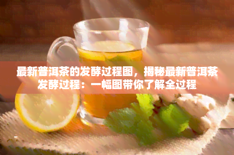 最新普洱茶的发酵过程图，揭秘最新普洱茶发酵过程：一幅图带你了解全过程