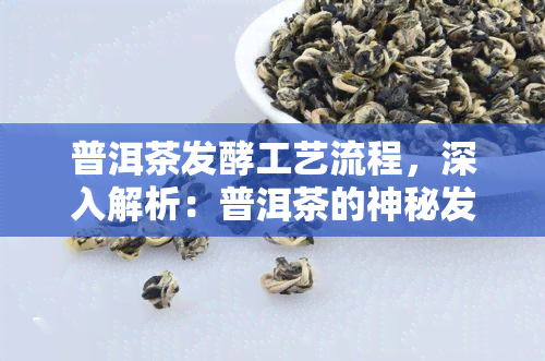 普洱茶发酵工艺流程，深入解析：普洱茶的神秘发酵工艺流程