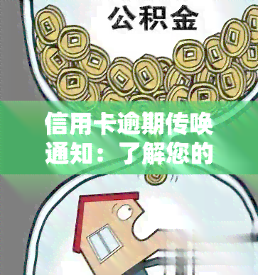 信用卡逾期传唤通知：了解您的权利与责任