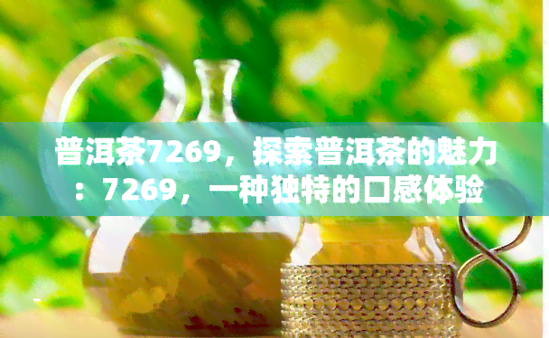 普洱茶7269，探索普洱茶的魅力：7269，一种独特的口感体验