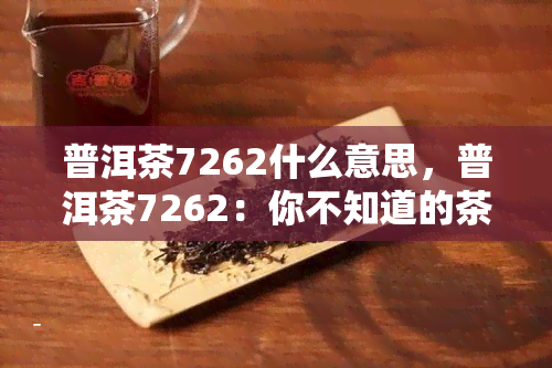 普洱茶7262什么意思，普洱茶7262：你不知道的茶叶秘密