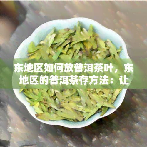 东地区如何放普洱茶叶，东地区的普洱茶存方法：让茶叶保持品质的技巧