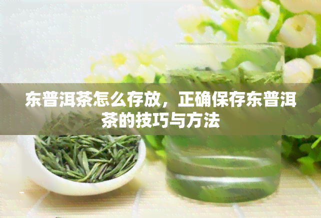 东普洱茶怎么存放，正确保存东普洱茶的技巧与方法