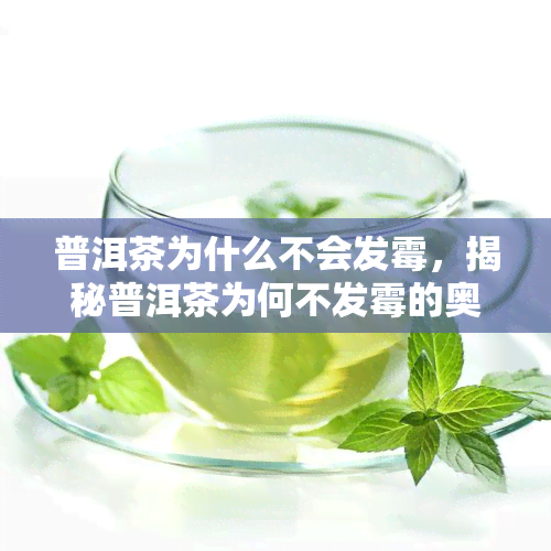 普洱茶为什么不会发霉，揭秘普洱茶为何不发霉的奥秘