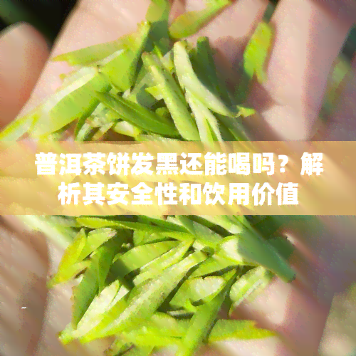 普洱茶饼发黑还能喝吗？解析其安全性和饮用价值