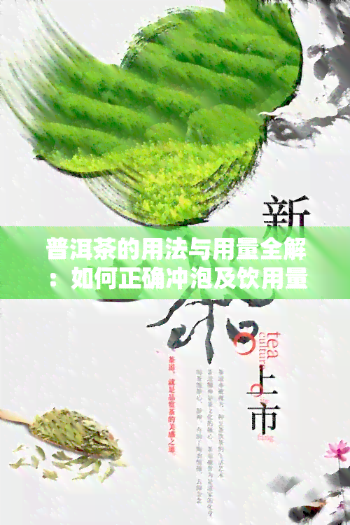 普洱茶的用法与用量全解：如何正确冲泡及饮用量