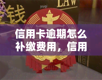 信用卡逾期怎么补缴费用，信用卡逾期后如何补缴费用？一份全面的指南