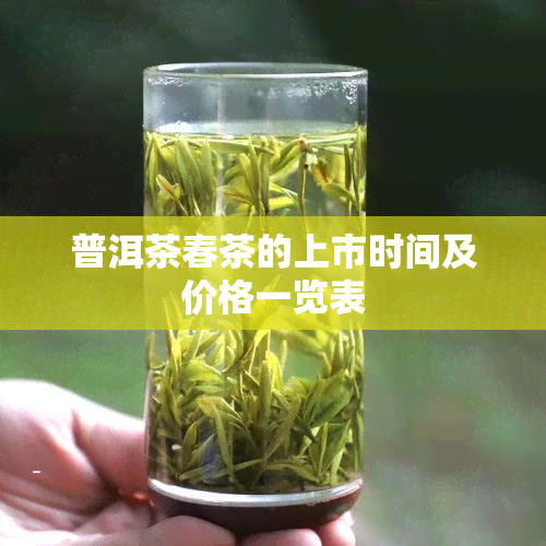 普洱茶春茶的上市时间及价格一览表