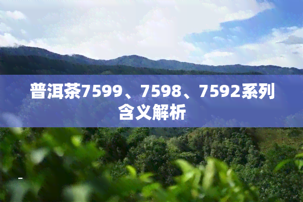 普洱茶7599、7598、7592系列含义解析