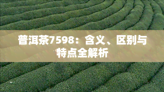 普洱茶7598：含义、区别与特点全解析