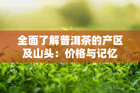 全面了解普洱茶的产区及山头：价格与记忆