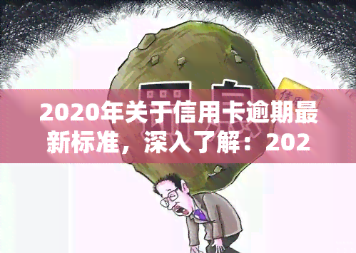 2020年关于信用卡逾期最新标准，深入了解：2020年信用卡逾期的最新标准与规定