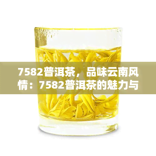 7582普洱茶，品味云南风情：7582普洱茶的魅力与故事