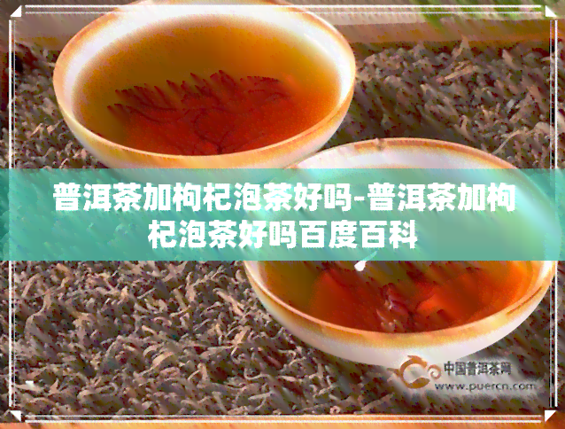 普洱茶加枸杞泡茶好吗-普洱茶加枸杞泡茶好吗百度百科