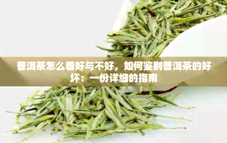 普洱茶怎么看好与不好，如何鉴别普洱茶的好坏：一份详细的指南