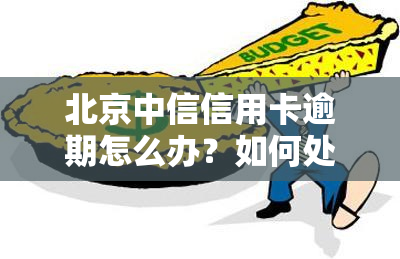 北京中信信用卡逾期怎么办？如何处理逾期问题？