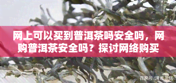 网上可以买到普洱茶吗安全吗，网购普洱茶安全吗？探讨网络购买普洱茶的风险与保障