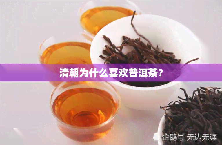 清朝为什么喜欢普洱茶？