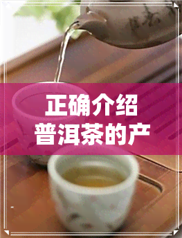 正确介绍普洱茶的产地-正确介绍普洱茶的产地是哪里