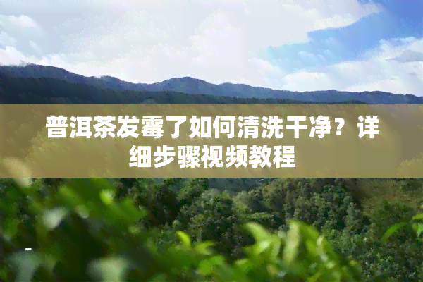 普洱茶发霉了如何清洗干净？详细步骤视频教程