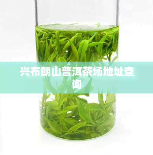 兴布朗山普洱茶场地址查询