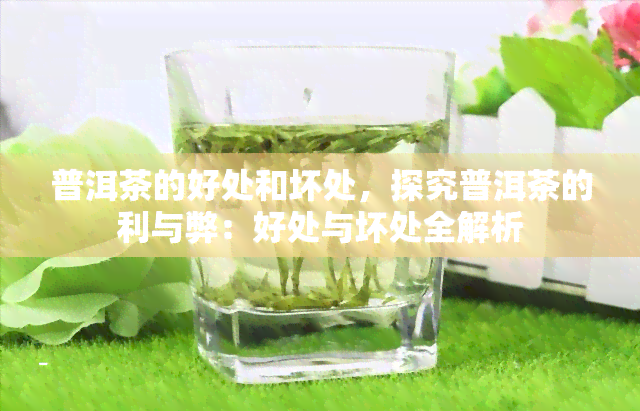 普洱茶的好处和坏处，探究普洱茶的利与弊：好处与坏处全解析