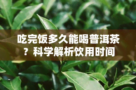 吃完饭多久能喝普洱茶？科学解析饮用时间