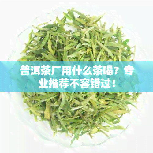 普洱茶厂用什么茶喝？专业推荐不容错过！