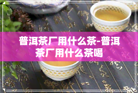 普洱茶厂用什么茶-普洱茶厂用什么茶喝