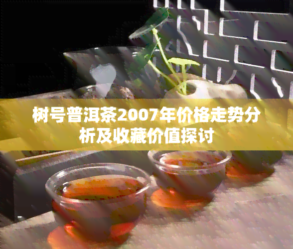 树号普洱茶2007年价格走势分析及收藏价值探讨