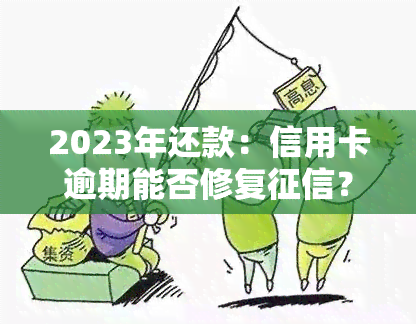 2023年还款：信用卡逾期能否修复？