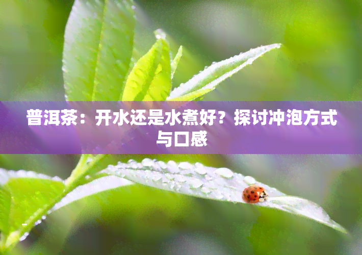 普洱茶：开水还是水煮好？探讨冲泡方式与口感