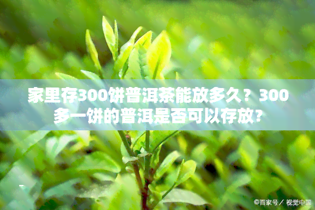 家里存300饼普洱茶能放多久？300多一饼的普洱是否可以存放？